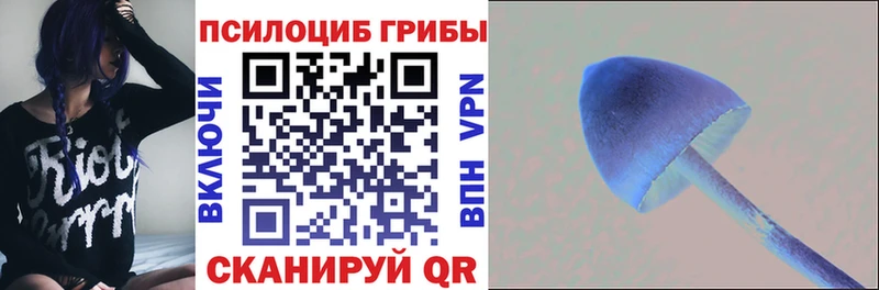 Псилоцибиновые грибы Magic Shrooms  Купить закладки  Нальчик 
