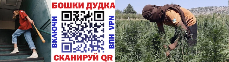 Бошки Шишки Bruce Banner  Купить  Нальчик 